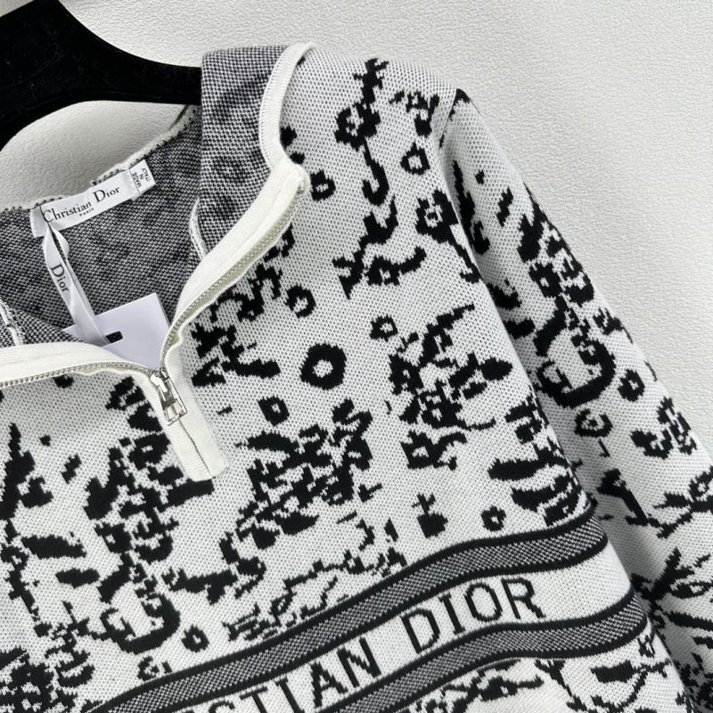 Christian Dior Hoodies